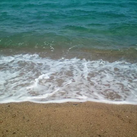 Nautilos